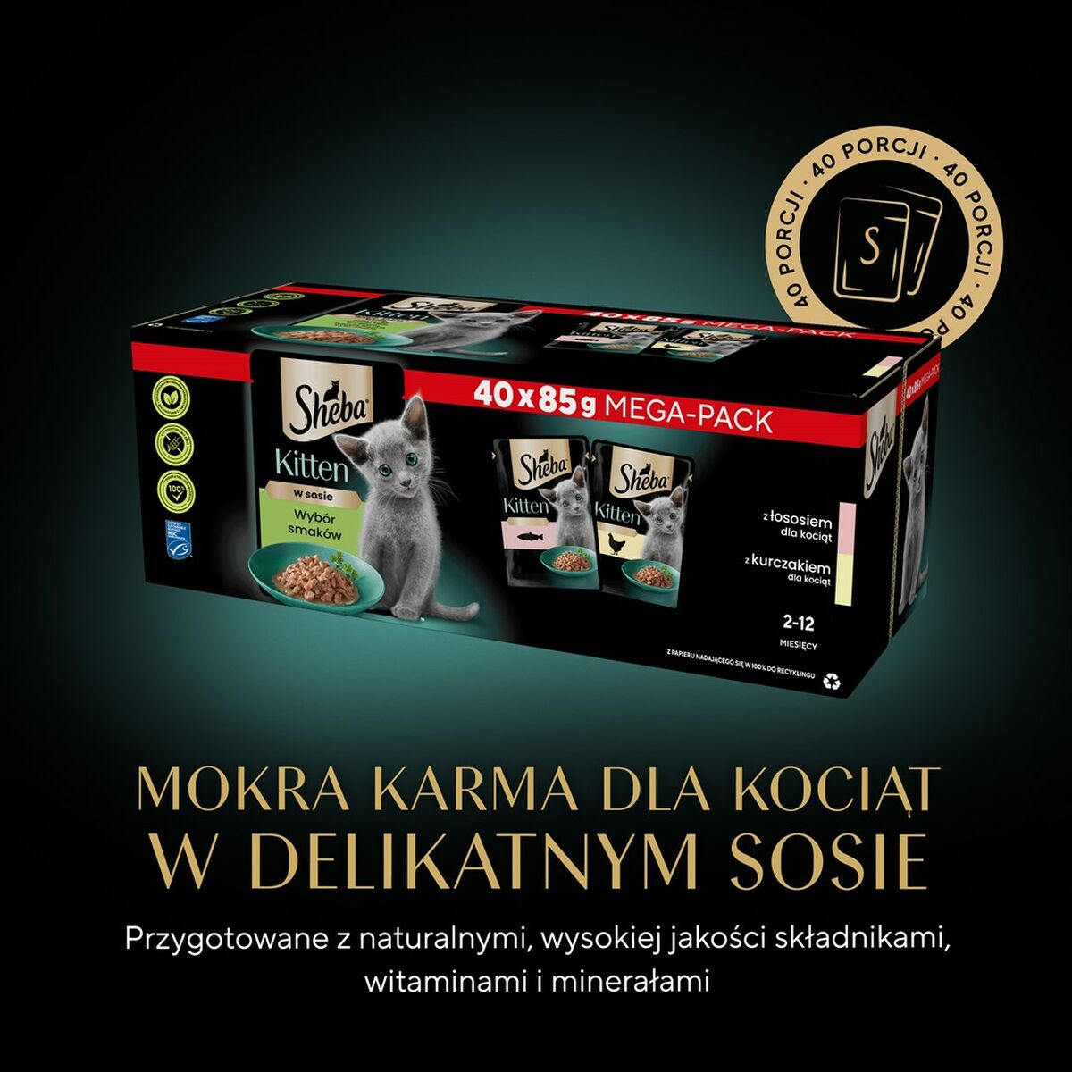 V3HDEE8C1D5173E18A885A9702E0F639B68R4903958P10