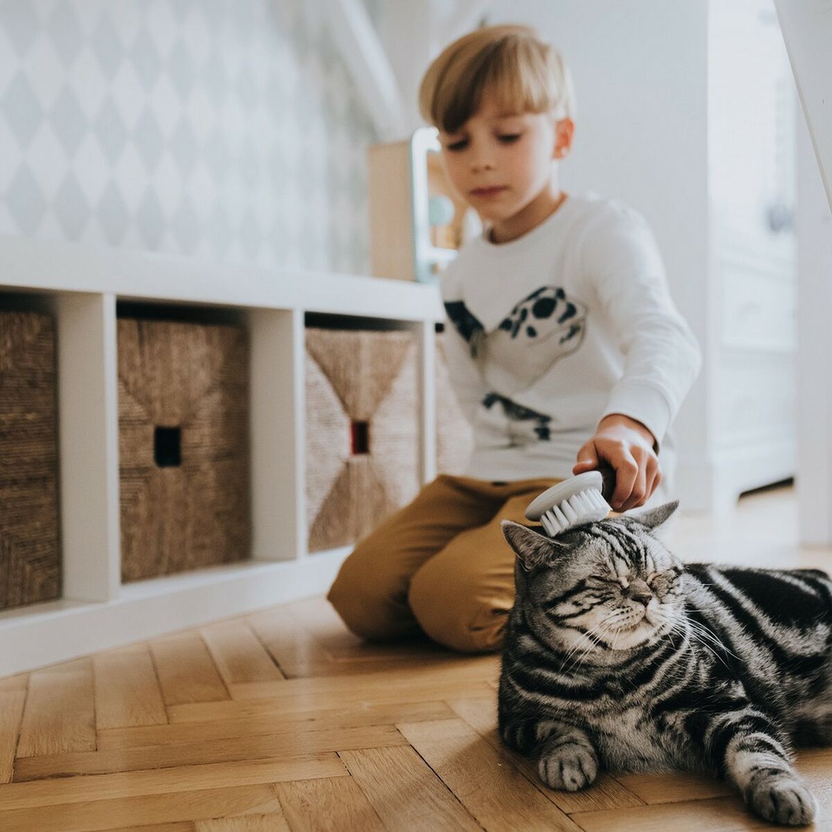 V8H69C7EAC07EA46D9F561D495EA951E41CR4267966P4