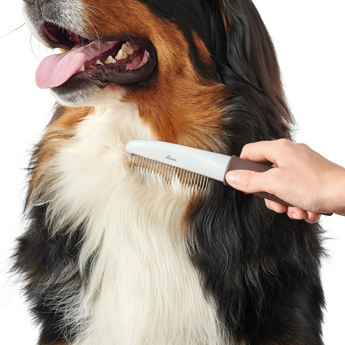 V8HCC7297F0FB94C229833BCA40A8DE4219R5597839P2