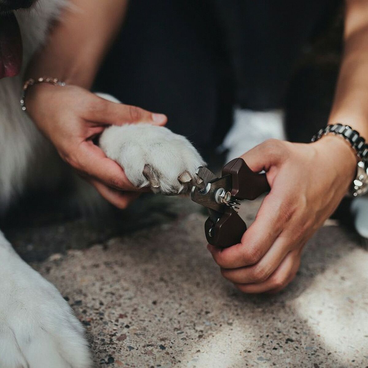 V8HADA13F1034FC87BCDB6297410A1F772BR5597723P2