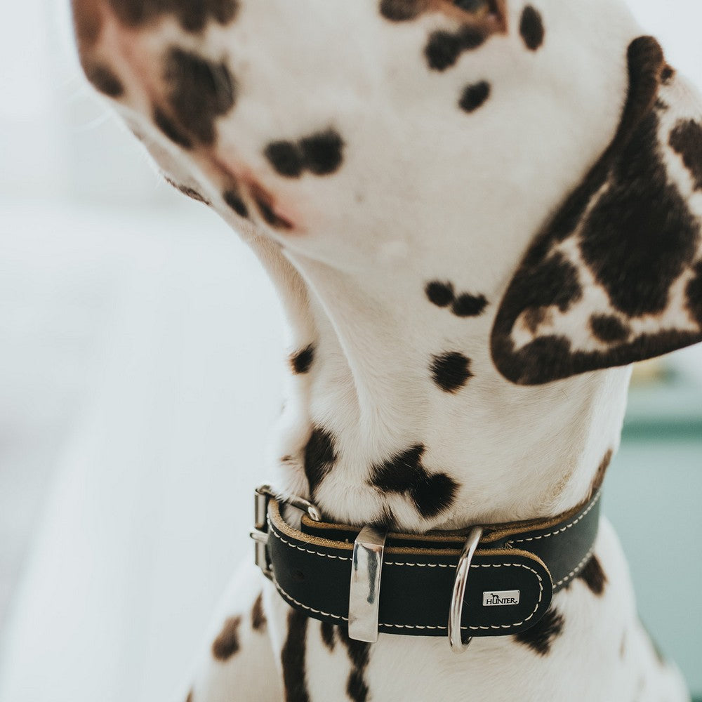 V7H0595D5139918EC53B18FFE239E692EE2R1494039P3
