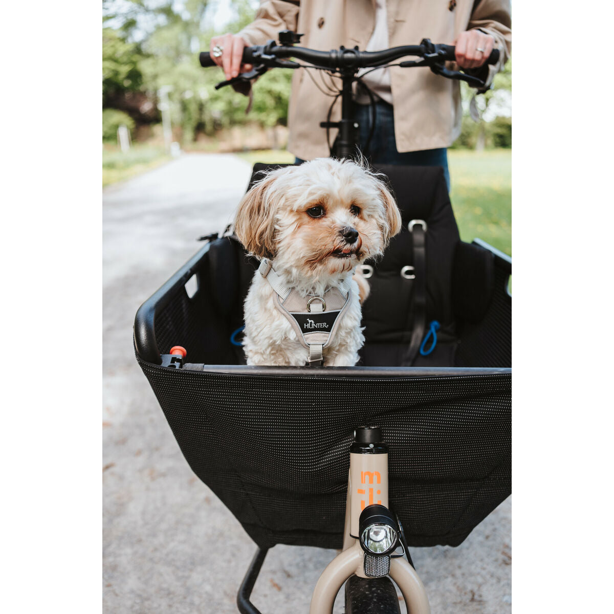 V2H54DE89D56BCE4638A94C6C8254E2FCDCR5575674P5