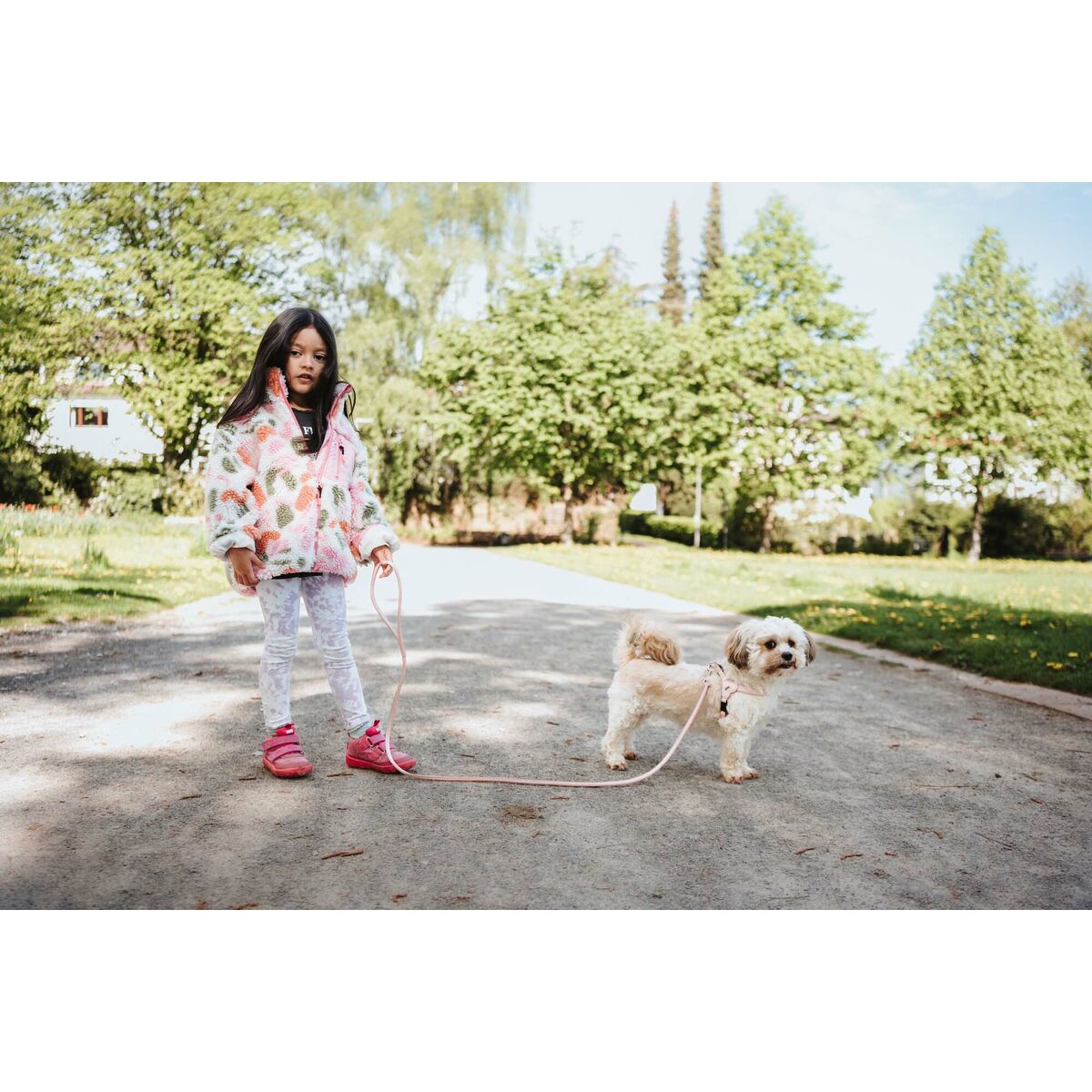 V2H4B44F8401A2BBB8440A320C21FB793FBR5575597P5