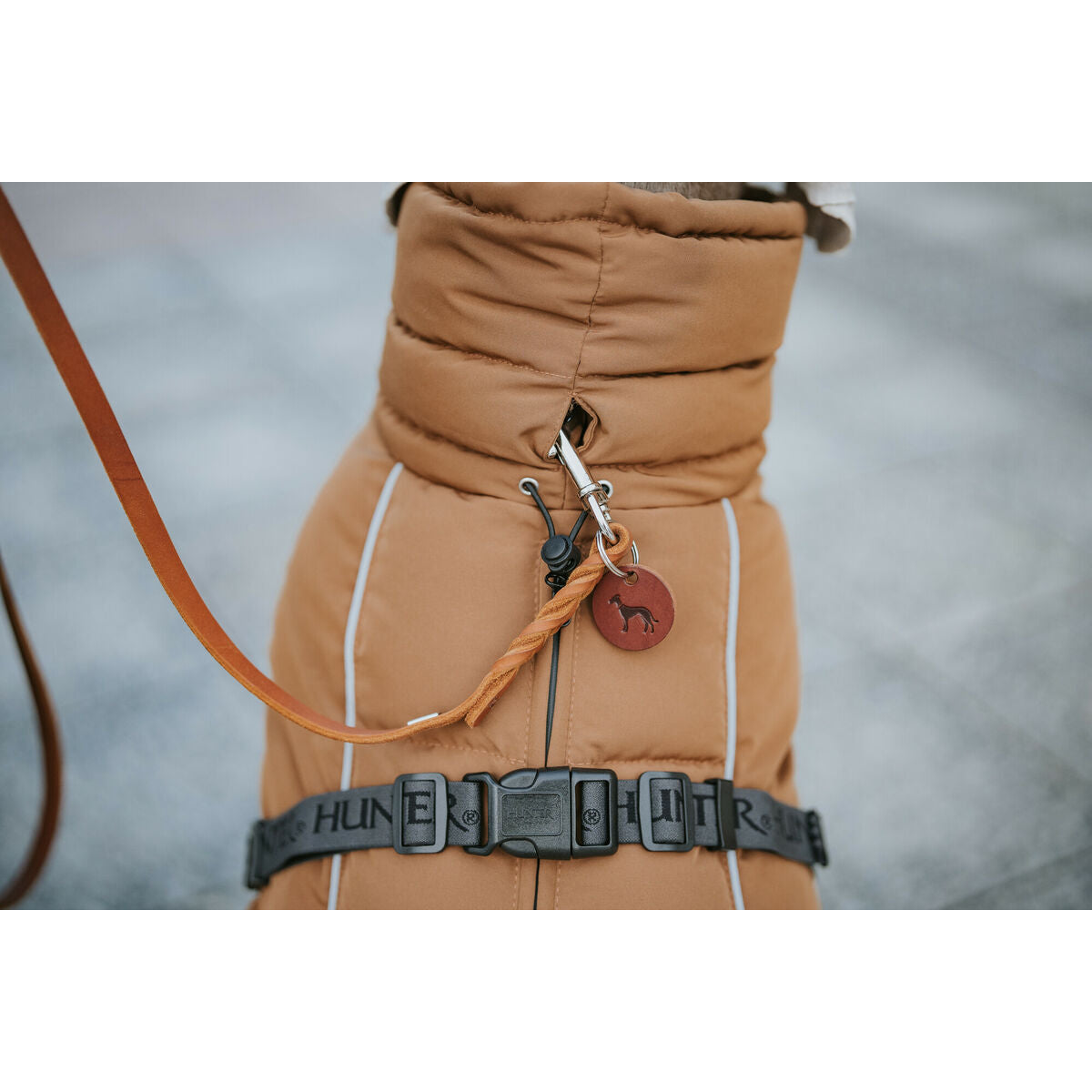 V2HED19C7E6E329AB2CABF1DC880D517125R5575953P7