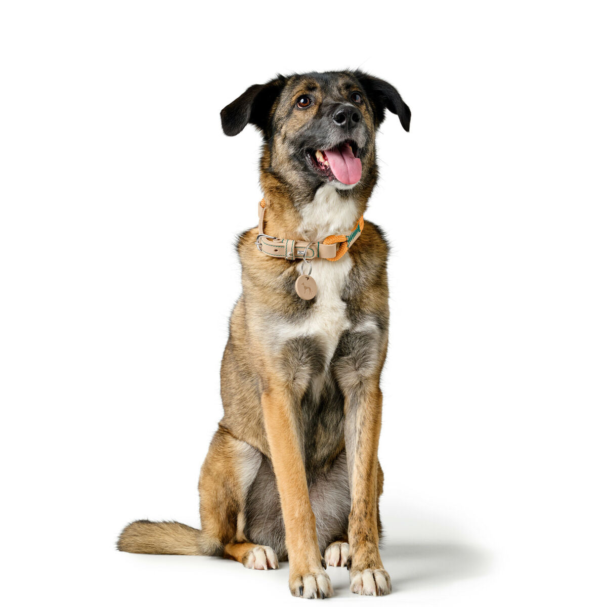 V2H98F0CA1528D9D78C8A5D7E3B2C25E773R5575484P3