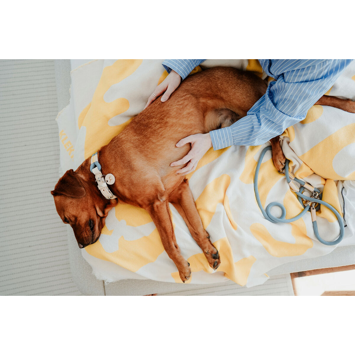 V2HF452217392A4B3F15E1C3E61E105B4C9R5575486P3