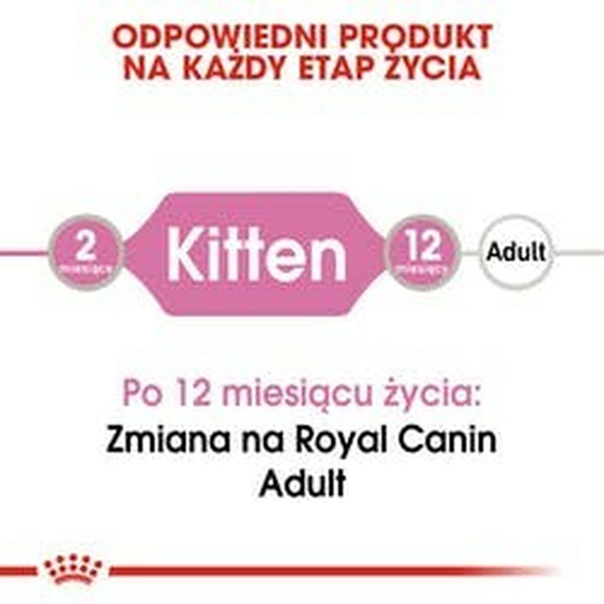 V5HD6E1E58AD28FFFBC4A3600336FDDCA4CR3291692P2